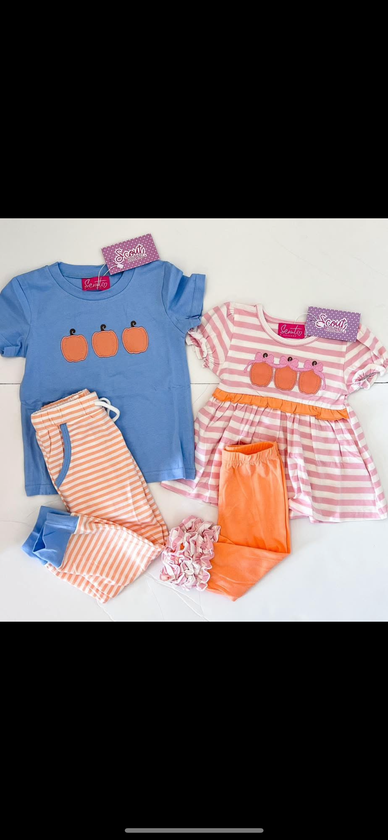 Pumpkin Trio Collection